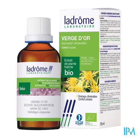 Ladrome Solidago Virgaurea/echte Guldenroede 50ml 3