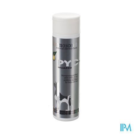 Dermoscent Pyoclean Shampoo Chien Chat Fl 200ml