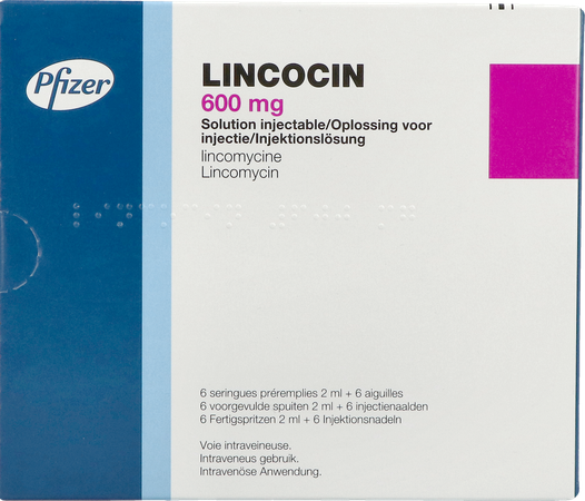 Lincocin Amp Ser Inj 6 X 600mg/2ml 1