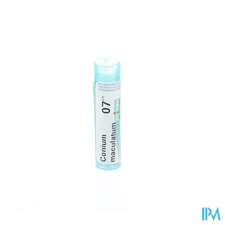 Conium Maculatum 7ch Gr 4g Boiron 1