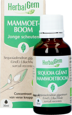 Herbalgem Mammoetboom Bio 30ml 2