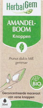 Herbalgem Amandel Bio 30ml 3