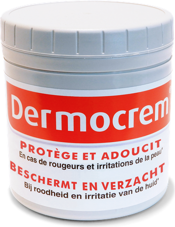 DERMOCREM CREME 250 G 2