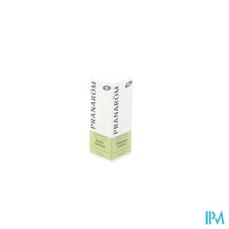 Basilicum Ess Olie Bio 10ml Pranarom 2