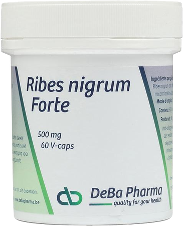 Ribes Nigrum V-caps 60 Deba 2