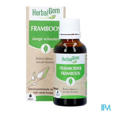 Herbalgem Frambozenstruik Bio 30ml 3