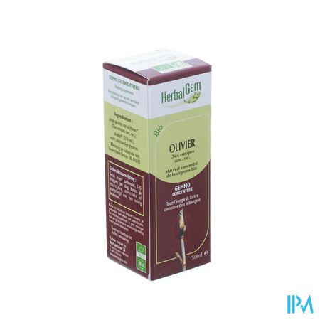 Herbalgem Olijfboom Maceraat 50ml 2