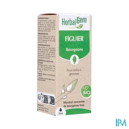 Herbalgem Figuier Bio 30ml