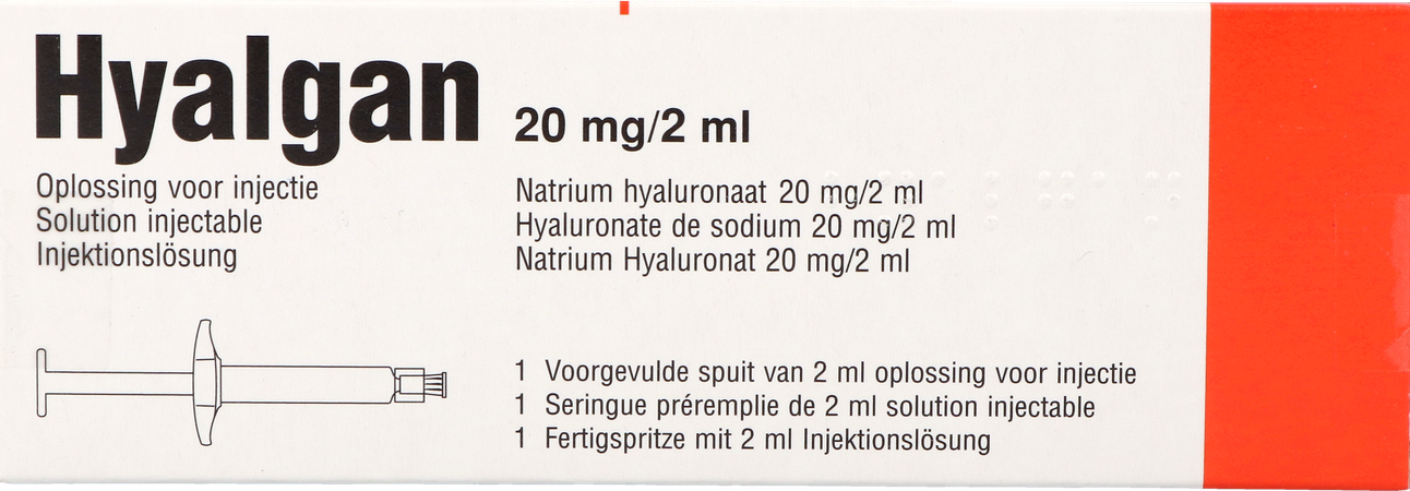 Hyalgan Ser 1 X 2ml/20mg 2