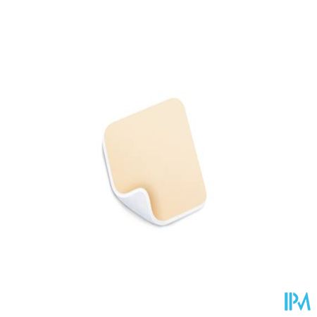 Permafoam Classic 20x10cm 10 8820020 2