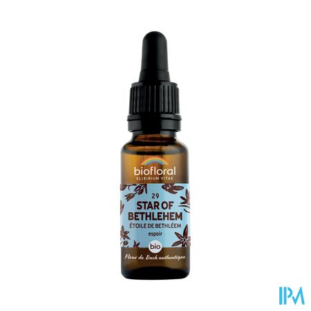 Biofloral Fleurs De Bach 29 Star Bethleem Bio 20ml main product photo