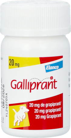 Galliprant 20mg Hond Comp 30 4
