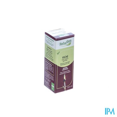Herbalgem Wijnstok Maceraat 50ml 3