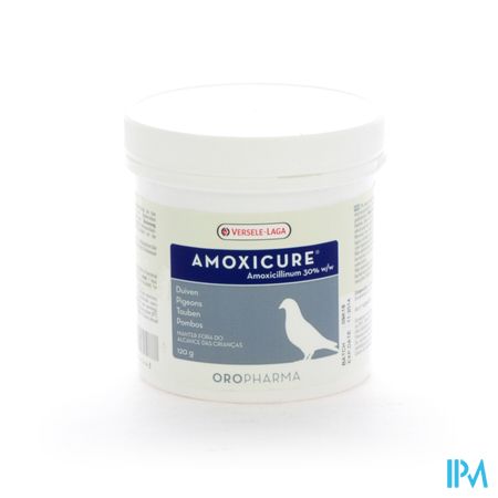 Amoxicure Pdr Pot 120g