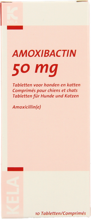 Amoxibactin 50mg Hond Kat Comp 10 1