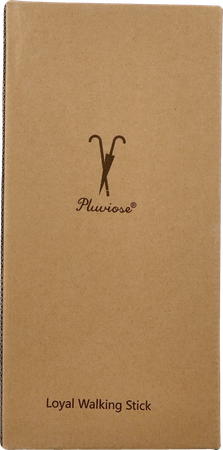 Pluviose Wandelstok Loyal Opvouwbaar Zwart 1
