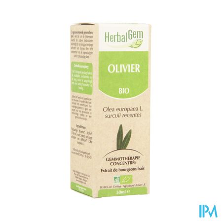 Herbalgem Olijfboom Maceraat 50ml