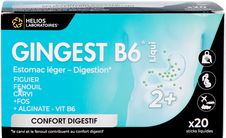 Gingest B6 Liqui Sticks 20x15ml 5