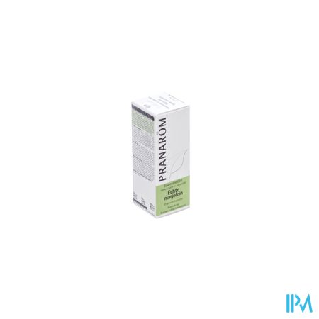 Marjolein Origanum Ess Olie 5ml Pranarom 1