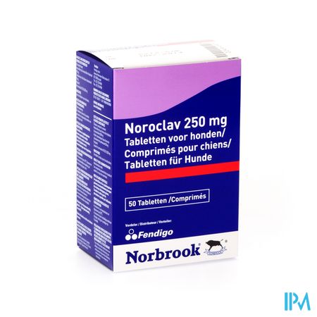 Noroclav Chien Comp 50x250mg