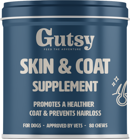 Gutsy Skin & Coat Supplement Chews 80 1