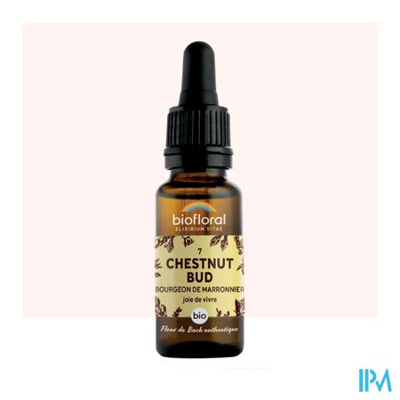 Biofloral Bachbloesem 07 Chestnut Bud Bio 20ml 2