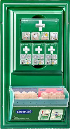 Cederroth Mini First Aid Plein