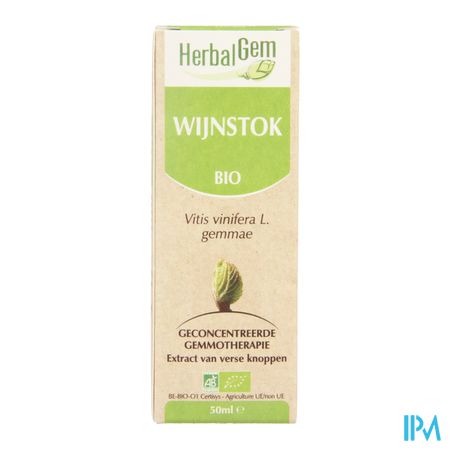 Herbalgem Wijnstok Maceraat 50ml 4