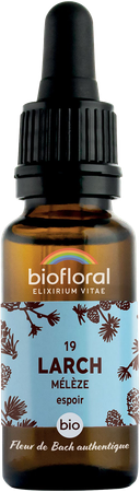 Biofloral Fleurs De Bach 19 Larch Meleze Bio 20ml 1