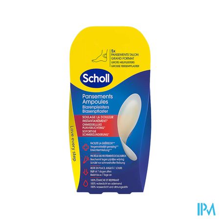 Scholl Pans Ampoule Talon Grand Format S/latex 5