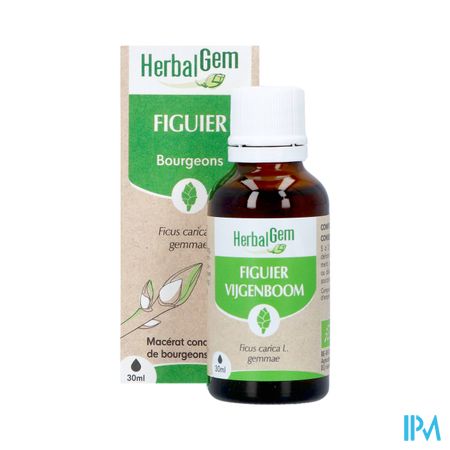 Herbalgem Vijgenboom Bio 30ml 9
