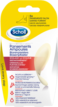 Scholl Pans Ampoule Talon Grand Format S/latex 5 4