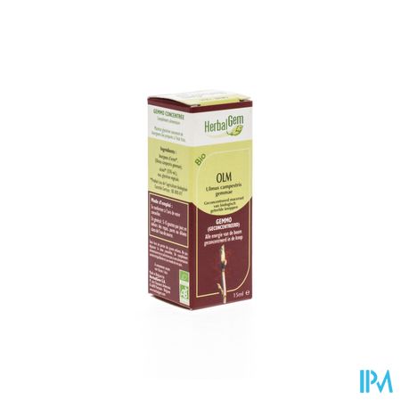 Herbalgem Olm Maceraat 15ml 2