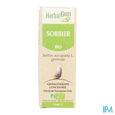 Herbalgem Lijsterbes Maceraat 15ml 3