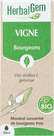 Herbalgem Wijnstok Maceraat Bio 30ml 6