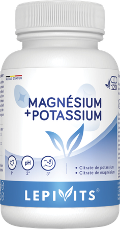 Magnesium-kalium Caps 120 Lepivits