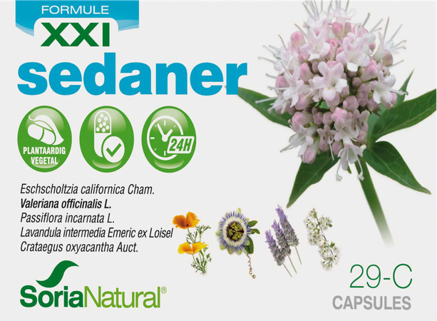 Soria 29-C Sedander XXI 30 caps 1