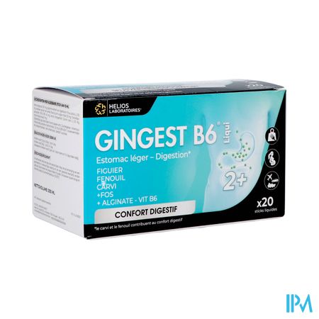 Gingest B6 Liqui Sticks 20x15ml