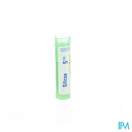 Silicea 5ch Gr 4g Boiron 1