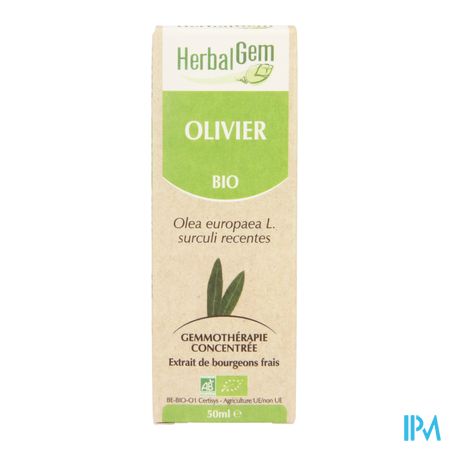 Herbalgem Olijfboom Maceraat 50ml 3