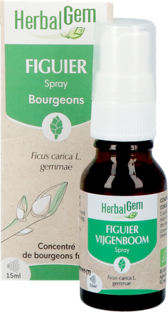 Herbalgem Figuier Bio Spray 15ml 5
