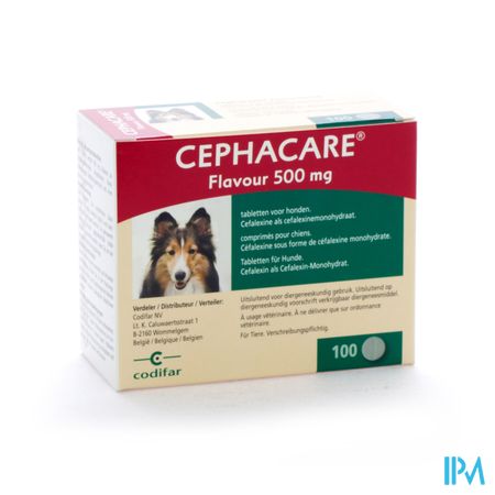 Cephacare Flavour 500mg Comp Honden 100