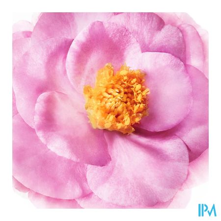 Nuxe Hair Leave In Conditioner Z/spoelen 100ml