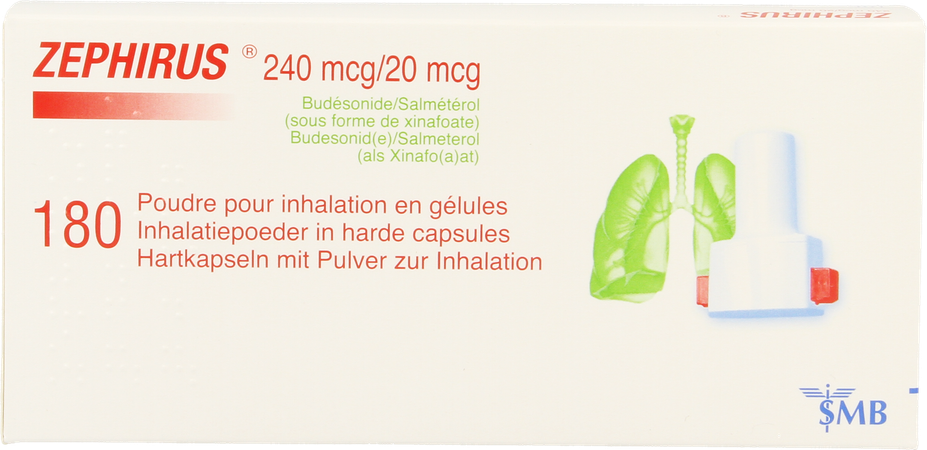 Zephirus 240mcg/20mcg Pdr Inhal.180 Gel + 1 Inhal. 1
