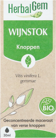 Herbalgem Wijnstok Maceraat Bio 30ml 4