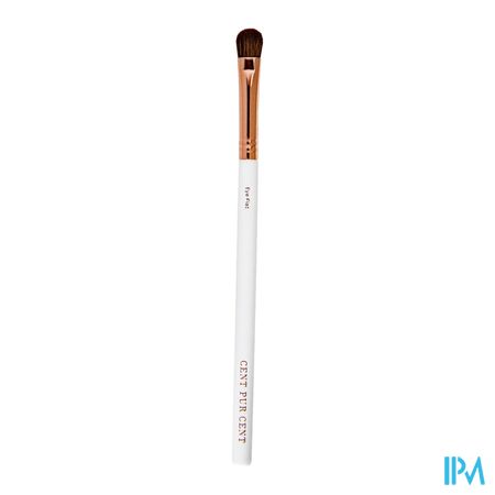 Cent Pur Cent Eye Flat Brush 1