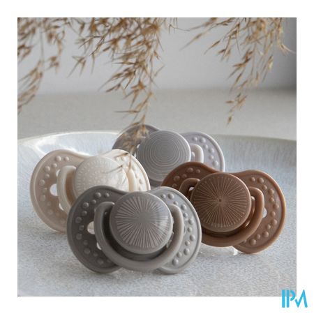 Difrax Sucette Dynamic Harmony l.&d.grey 6-18m 2 5
