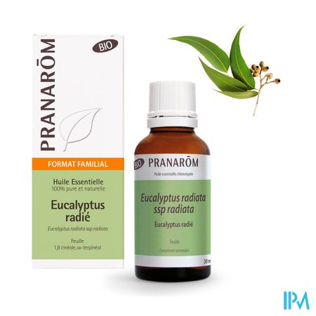 Eucalyptus Radiata Bio Hle Ess 30ml Pranarom 2