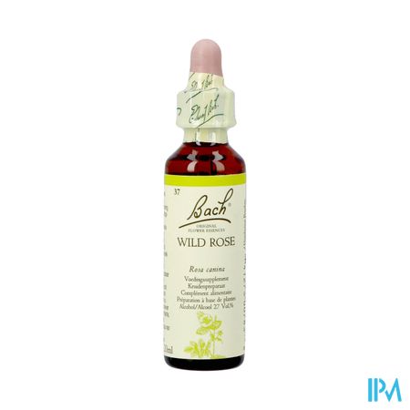 Bach Flower Remedie 37 Wild Rose 20ml