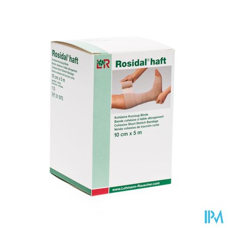 Rosidal Haft Bande Cohesive 10cmx5m 1 31975 1